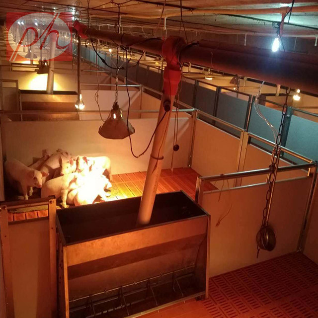 ������,С�i�����ᣬ�߶˱�����λ�����ر�����