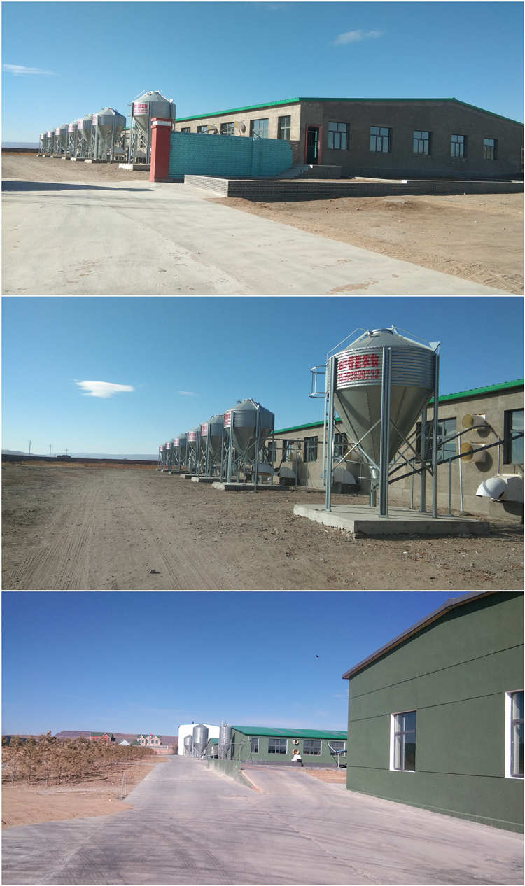 ��(n��i)�ɹ����\(ch��ng)�r(n��ng)���I(y��)����