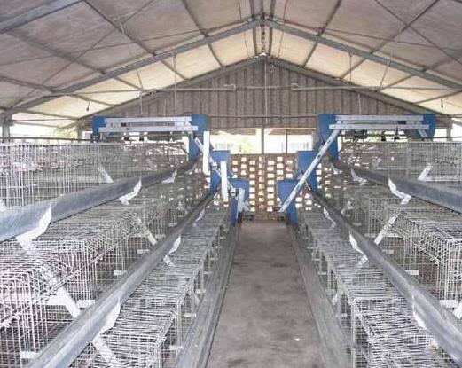 �S���ǂ�(g��)����ǧ�f�����S�����M(f��i)��